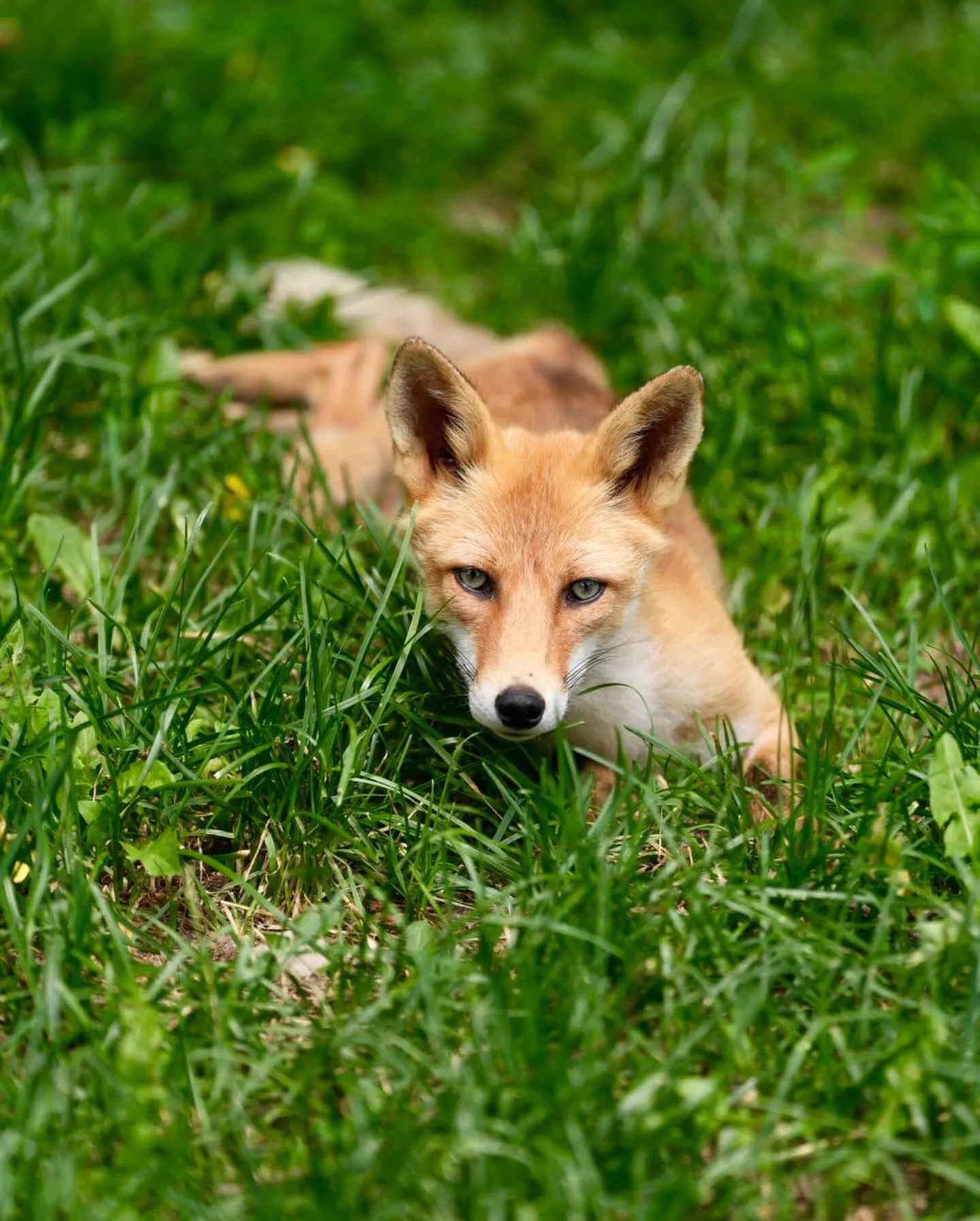 本日の宿到着！