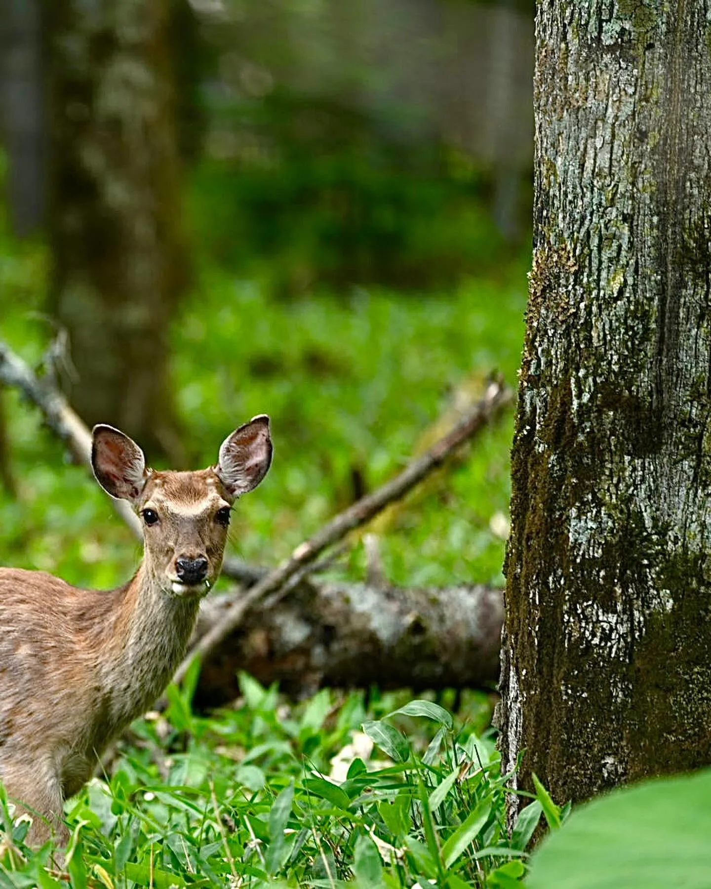 本日の宿到着！