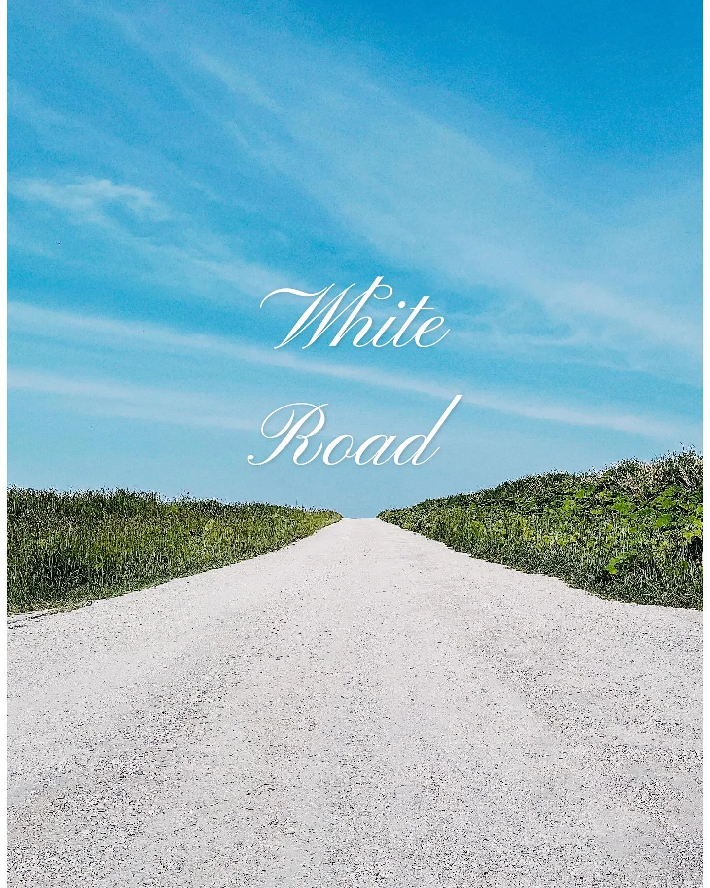 宗谷岬！白い道！